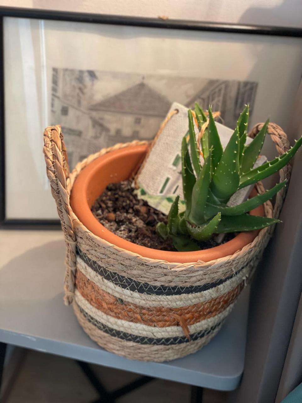 Apartmán Suzana Sindija Bibinje