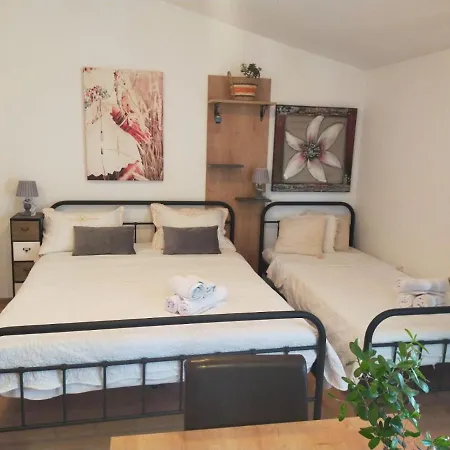 Apartman Suzana Sindija Bibinje Esterno foto
