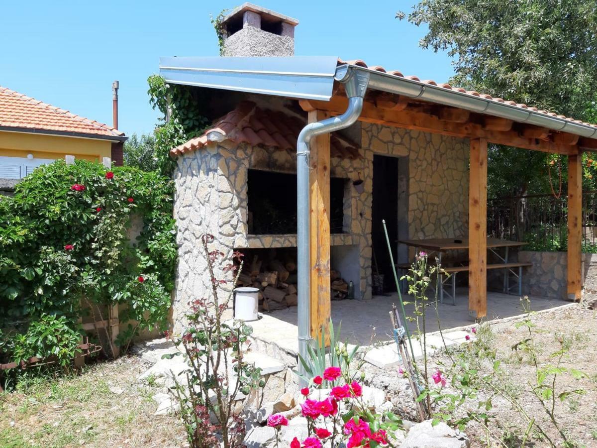 Suzana Sindija Apartment